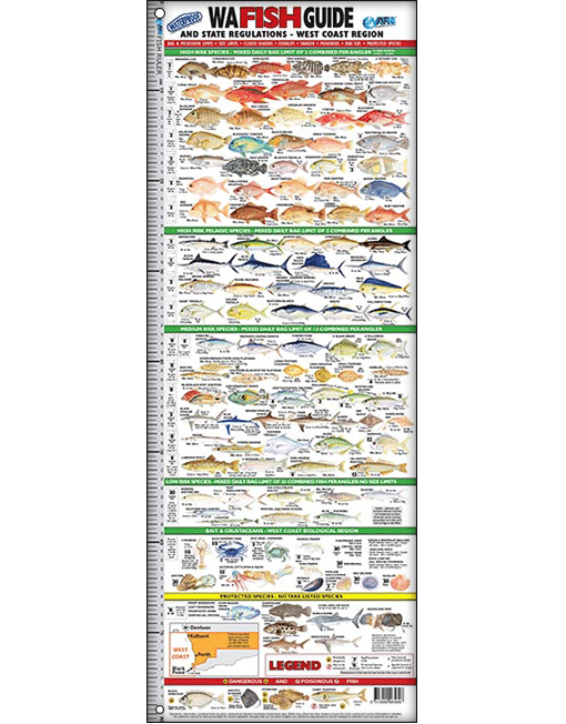 Australian Fishing Network WA Fish ID Ruler
