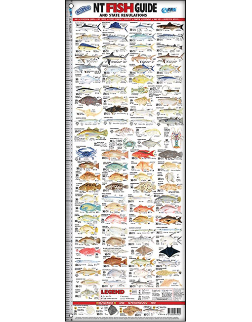 Australian Fishing Network NT Fish ID Ruler