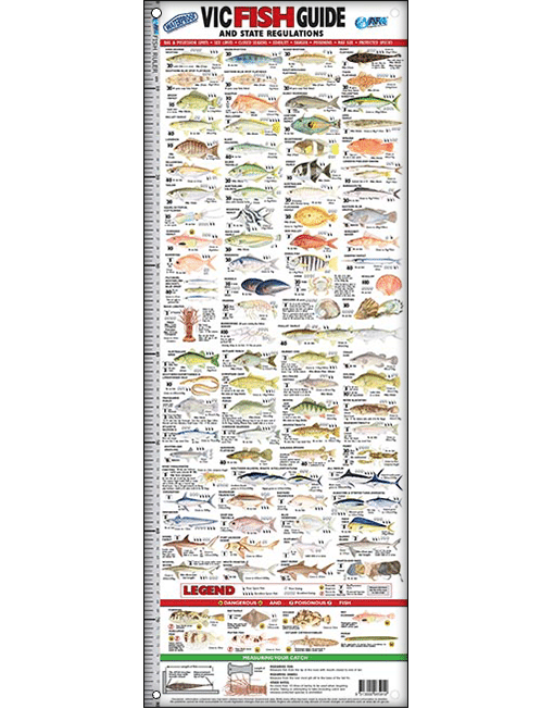 Australian Fishing Network VIC Fish ID Ruler
