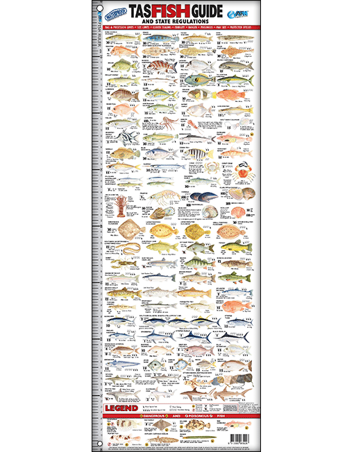 Australian Fishing Network TAS Fish ID Ruler