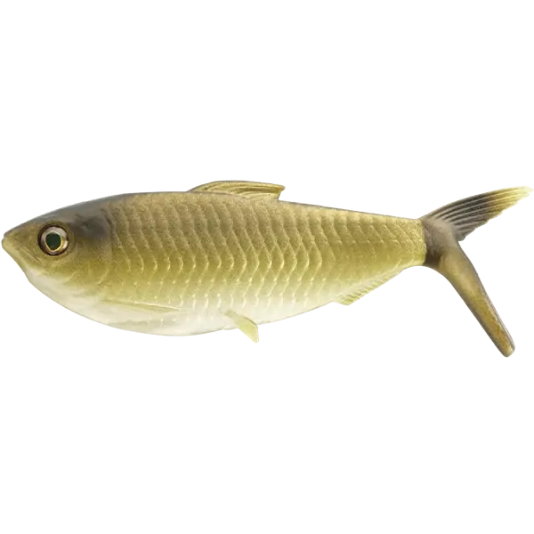 13 Fishing The Dine Swimbait 4,25" Gold Retriver