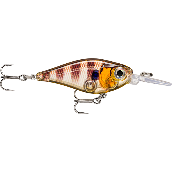 Rapala X-Light Shad 4cm Lure Glassy Gill Uv