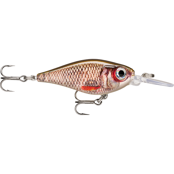 Rapala X-Light Shad 4cm Lure Live Roach