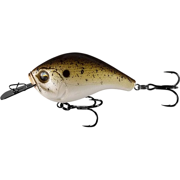 13 Fishing Jabber Jaw - Truffle Butter
