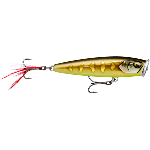 Rapala Skitter Pop Elite 75 Gilded Striped Grey Shiner