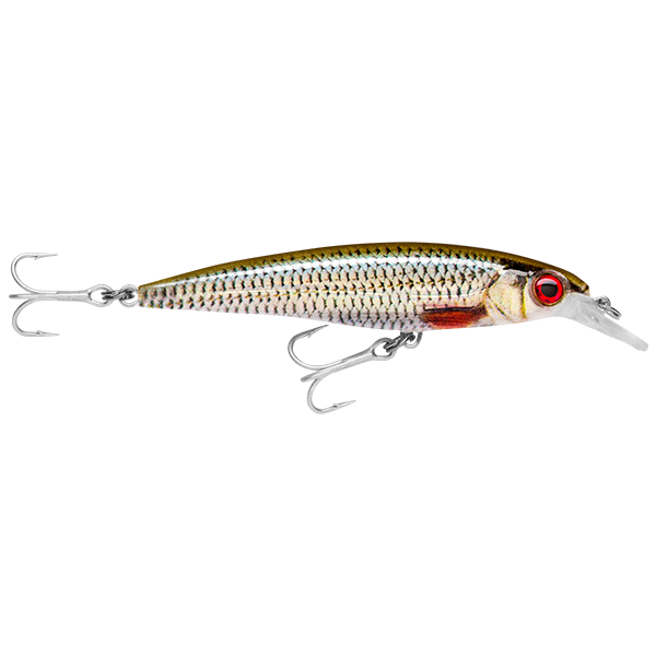 Rapala Saltwater X-Rap 10cm Live Roach