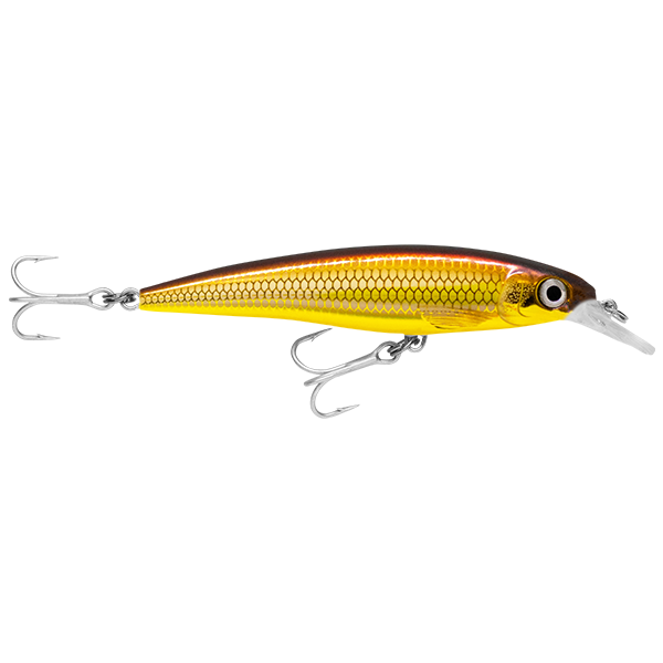 Rapala Saltwater X-Rap 12cm Golden Alburnus