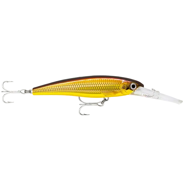 Rapala Saltwater X-Rap Deep 11cm Golden Alburnus