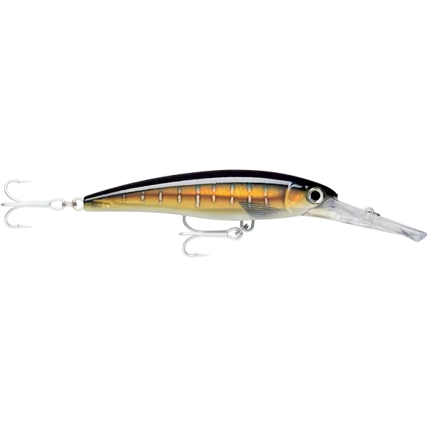 Rapala X-Rap Magnum 40 HD Sailfish UV