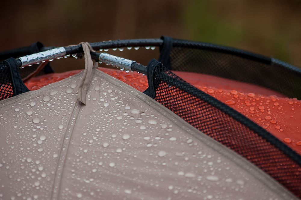 Water Droplets on Tent