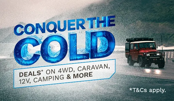 Conquer the Cold