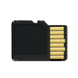 Garmin 8 GB microSD Class 4 Card with SD Adapter
