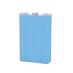 Companion Ice Brick Large (750ml)