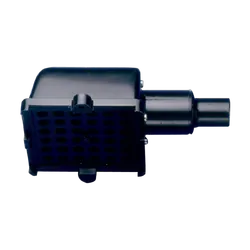 Whale Strumbox Side Entry