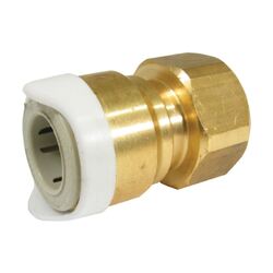 Whale System 15 Brass Thread Adapter 3/8" Bsp Female