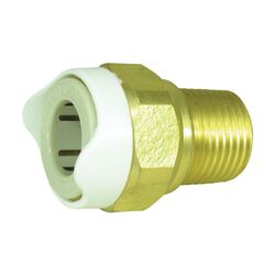 Whale System 15 Brass Thread Adapter 1/2" Bsp Male