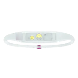 Quokka Run 150 Lumen Headlamp Grape
