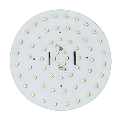 Coast To Coast LED 60 Round Replacement Globe. Cool White. 12v. 0315216C