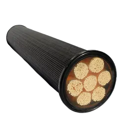 LifeSaver Spare Filter for C1 and C2