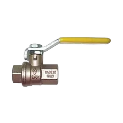 Coast To Coast Ball Valve BSP Female x BSP Female 1/4 x 1/4". Bv740-1/4"