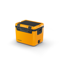 Dometic Recon 41L Ice Box - Glow