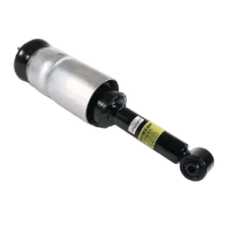 Front Air Strut - To Suit LAND ROVER DISCOVERY 3 & 4 (LR3 & LR4) TAA L319 04-16 - Standard Height