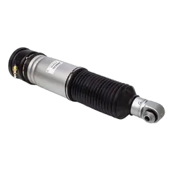 Rear LH Air Strut - To Suit BMW 7 Series (E65/E66) 01-08 W/out EDC 2001-08 - Standard Height