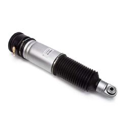 Rear RH Air Strut - To Suit BMW 7 Series (E65/E66) 01-08 W/out EDC 2001-08 - Standard Height