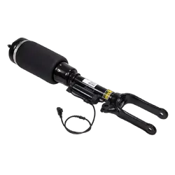 Front Air Strut - To Suit Mercedes Benz - R-Class (W251) for MERCEDES-BENZ R-CLASS W251 & V251 05-12 - Standard Height