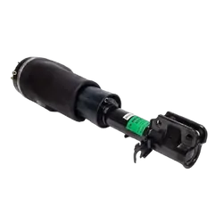 Front RH Air Strut - For LAND ROVER RANGE ROVER L322 (LM) 06-12 L322 Petrol (RNB 501520) - Standard Height