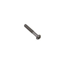 Rhino-Rack  M6 X 40mm Button Head Security Screw (Stainless Steel) (4 Pack) 
