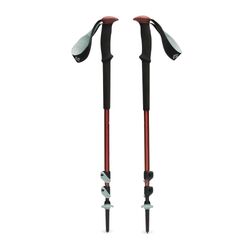 Black Diamond Trail Trekking Poles - Pine Smoke