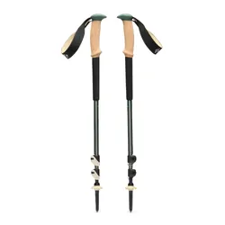Trail Cork Trekking Poles - Laurel Green