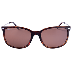 Spotters Sunglasses Bella Tortoiseshell Halide