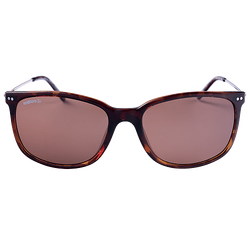 Spotters Sunglasses Bella Tortoiseshell Halide