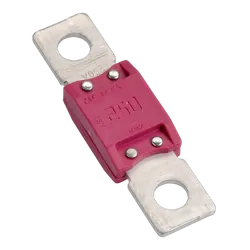 Projecta 250A Megaval Fuse (1)