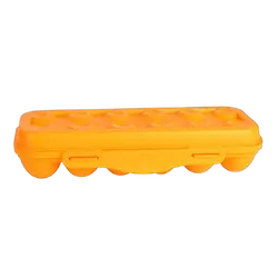 Wildtrak Egg Storage Container Holds 12 Eggs 30 X 11Cm