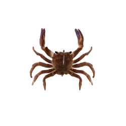 Chasebaits Crusty Crabs