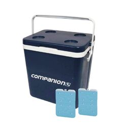 Companion Cooler & Ice Brick Combo
