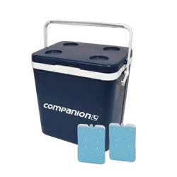 Companion Cooler & Ice Brick Combo