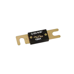 Projecta 100A Anl Fuse