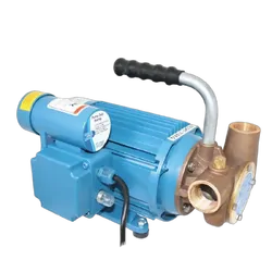 Jabsco 53040 Series 240V AC Heavy Duty Utility Pump 240V50Hz