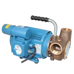 Jabsco 53080 Series AC Utility Pump Heavy Duty 230V