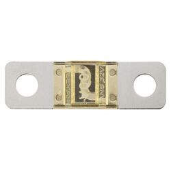 Midi Fuse 100Amp 10 Pack Slow Blow Can Use E54-3056