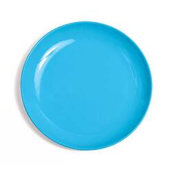 Campfire Melamine Dinner Plate - Blue
