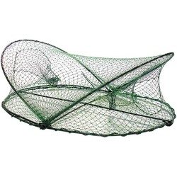 Seahorse Opera House Net Green With Ring