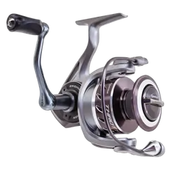 Quantum Throttle Spin Reels