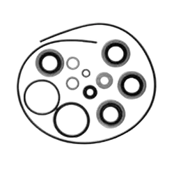 Sierra Seal Kit BRP Lower Unit 25Hp 1979-82
