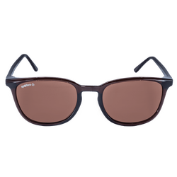 Spotters Sunglasses Sage Gloss Brown Halide