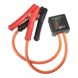 Projecta 12/24V Spike Servicemate